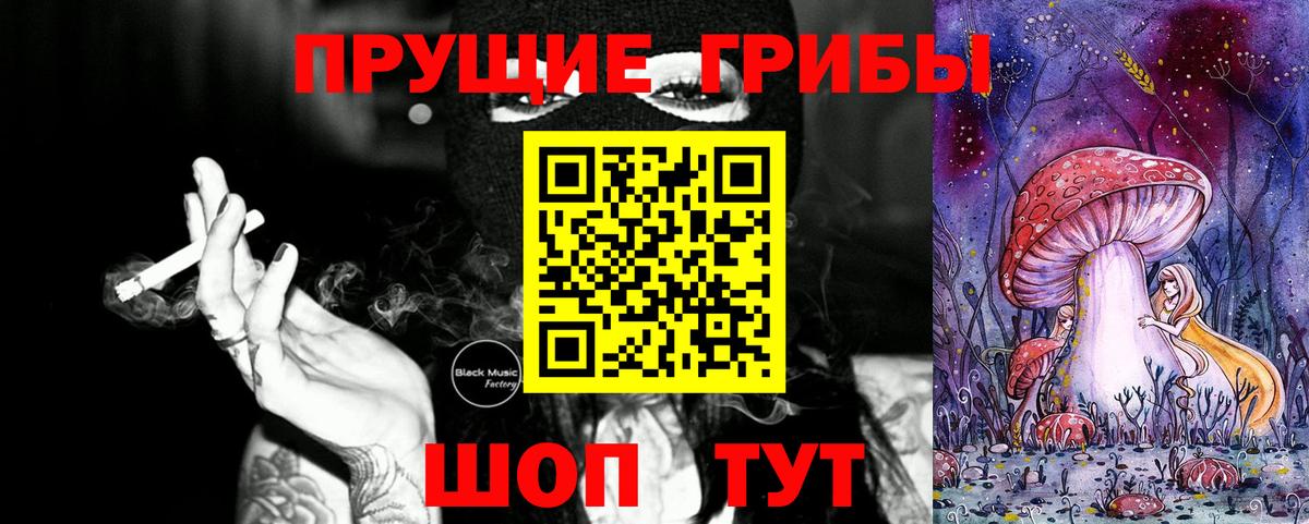 Зеленодольск  Псилоцибиновые грибы MAGIC MUSHROOMS  Вход с VPN  Псилоцибиновые грибы мухоморы 
